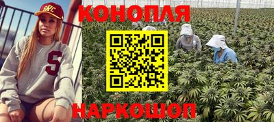 молекула духа Нальчик