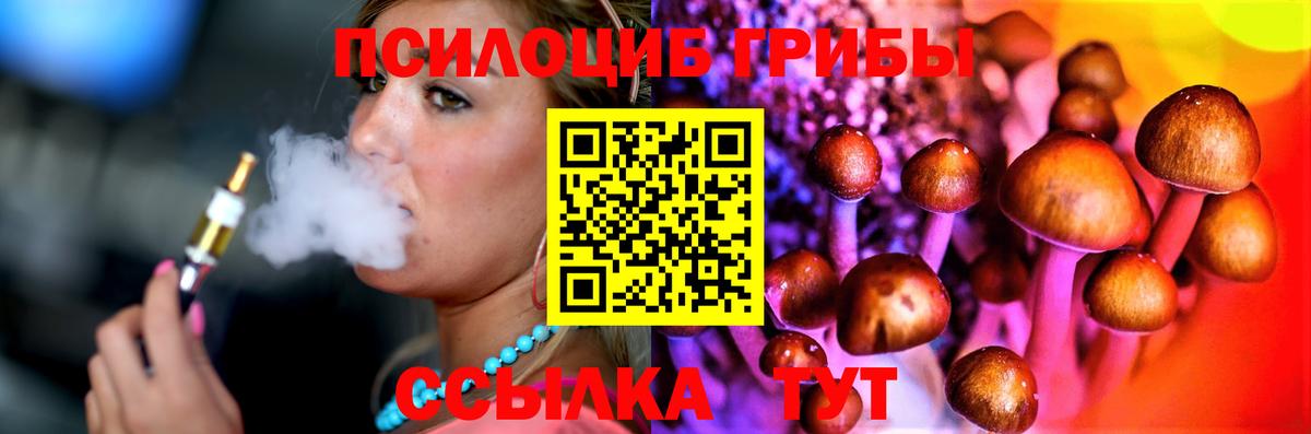 Галлюциногенные грибы MAGIC MUSHROOMS  Псилоцибиновые грибы Cubensis  Сосновоборск  Вход с VPN 